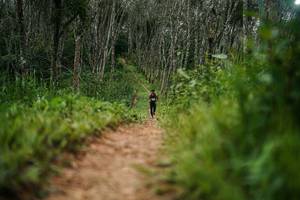 BIB: 
                            <button type="button" onclick="openModal(26292963)" class="btn btn-primary btn-sm float-right btn-popup" data-toggle="modal" data-target=".modal-high-quality">
                        <i class="fas fa-shopping-cart"></i> Add to Cart
                    </button>
                                            <button type="button" onclick="isThisMe(26292963, true)" class="btn btn-success btn-sm float-right btn-popup btn-isme hidden" data-toggle="tooltip" data-placement="bottom" title="นี่คือรูปของคุณใช่ไหม คลิกที่นี่เพื่อเอาเข้าอัลบั้ม">
                        <i class="fas fa-plus"></i> Add to album
                    </button>
                    <button type="button" onclick="isThisMe(26292963, false)" class="btn btn-warning btn-sm float-right btn-popup btn-isnotme hidden">
                        <i class="fas fa-ban"></i> Remove from album
                    </button>